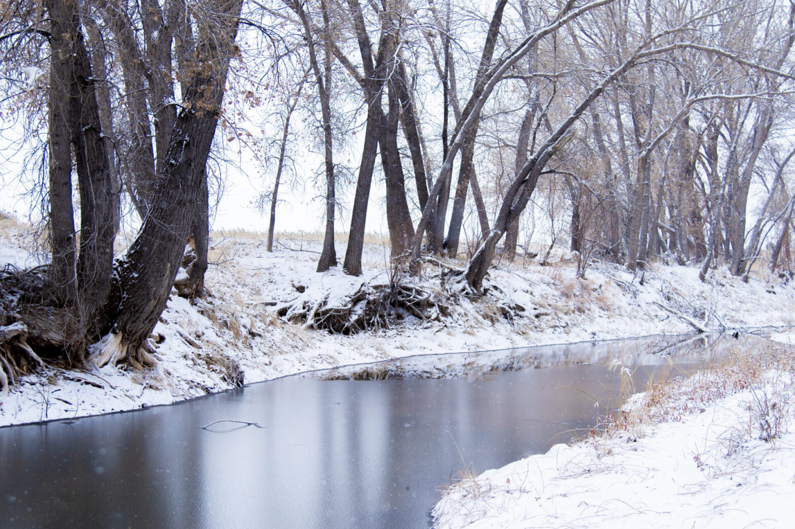Black Mesa State Park and Wildlife Area