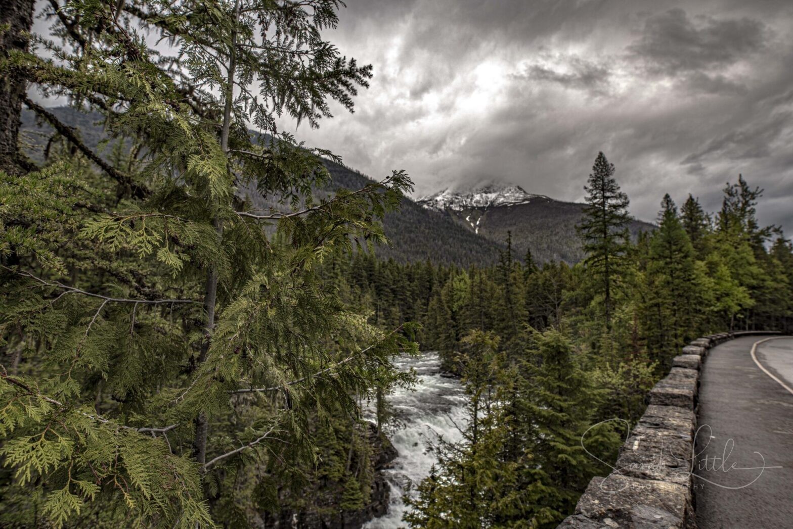 We flew to Montana and you’ll never guess why